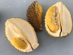 -SS2 榴梿鲜生