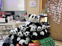 -熊猫邮局(少城店)