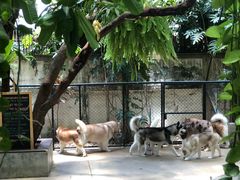 -TrueLove @ Neverland (Husky Cafe)