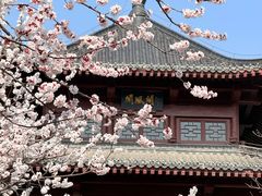-堤角公园