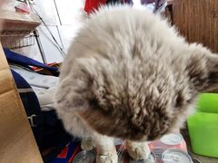 -小鱼草莓采摘园农家乐·小鱼餐厅
