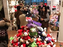 -济州岛泰迪熊博物馆