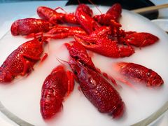 -红盔甲·小龙虾(天钥桥店)
