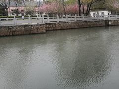 -枫桥景区