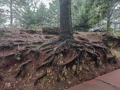 -敬亭山风景名胜区