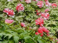 -太阳宫公园