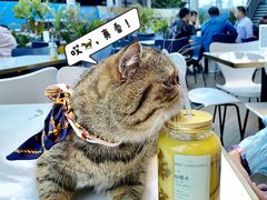 千元橄榄汁-野萃山·潮汕厚果汁(十亩地店)
