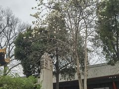 -西安碑林博物馆