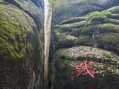 -汤旺河林海奇石景区