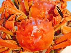 -喜洋洋蟹庄(阳澄湖店)