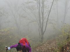 -太行锡崖沟旅游度假区