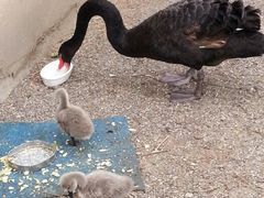 android_upload_pic-北京市海淀外国语实验学校