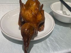 五谷芳红烧灵芝乳鸽-五谷芳乳鸽王（大梅沙总店C区）(网红打卡店)