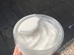 -洪馨椰子