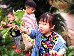 -樂桃源奉贤黄桃种植采摘基地