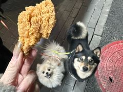 -味味香(团结湖店)