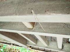 -石燕湖生态旅游景区