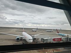 -上海浦东国际机场-T2航站楼