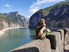 -白帝城·瞿塘峡景区