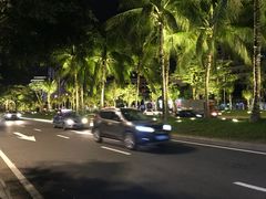 -龙泉人椰子鸡·糟粕醋·地标海南菜(龙昆南店)