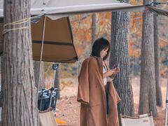 -青龙山国家森林公园