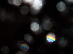 -维乐口腔医院(星海湾分院)