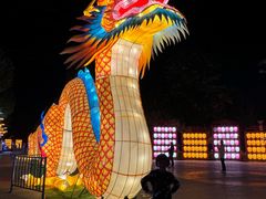 -青龙湖公园
