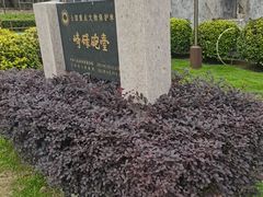 -石炮台公园