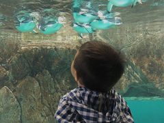 -成都浩海立方海洋公园