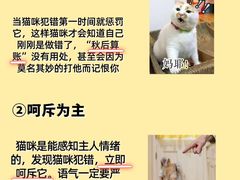 -佩兹宠物医院肿瘤专科·眼科·牙科(黄浦店)