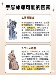 -玛莲朵·海菲秀冰珀科
