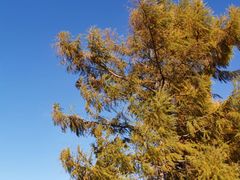 -长春公园(普阳街道)