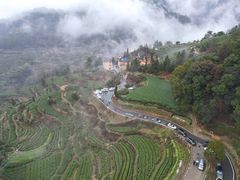 -杨家堂村