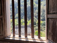 -雁南飞茶田景区