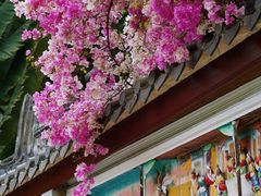 -深圳国际园林花卉博览园