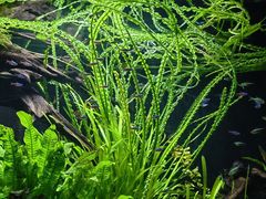 -上海海洋水族馆