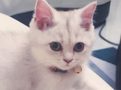 -沐沐家宠物(成寿寺店)