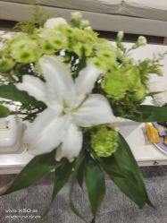 -HEYAN长风荷妍专业脱毛美肤
