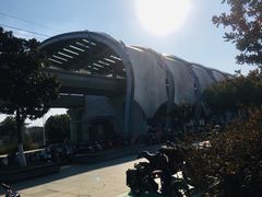 -羊山湖公园