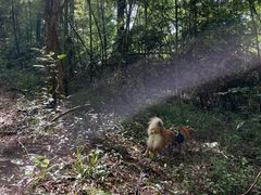 -池州市平天湖风景区