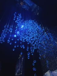 -格乐利雅婚礼艺术中心(南外滩店)