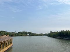 -泗洪洪泽湖湿地景区