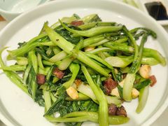 -鸭匠食府·挂炉烤鸭·新京菜(阜成路店)