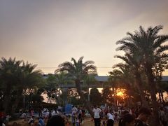 -宝安西湾红树林湿地公园