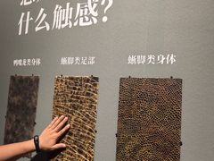 -遇见博物馆(遇见海洋沉浸式奇幻光影展)