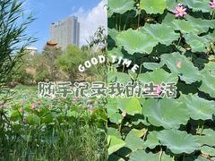 -青城公园