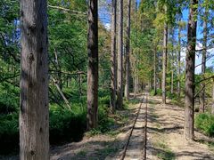 -黄海国家森林公园