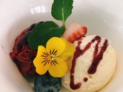 -蝶舍·MAISON PAPILLON