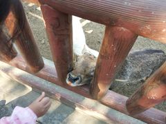 -无锡动物园·太湖欢乐园
