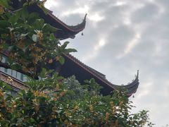 -韬光茶庵